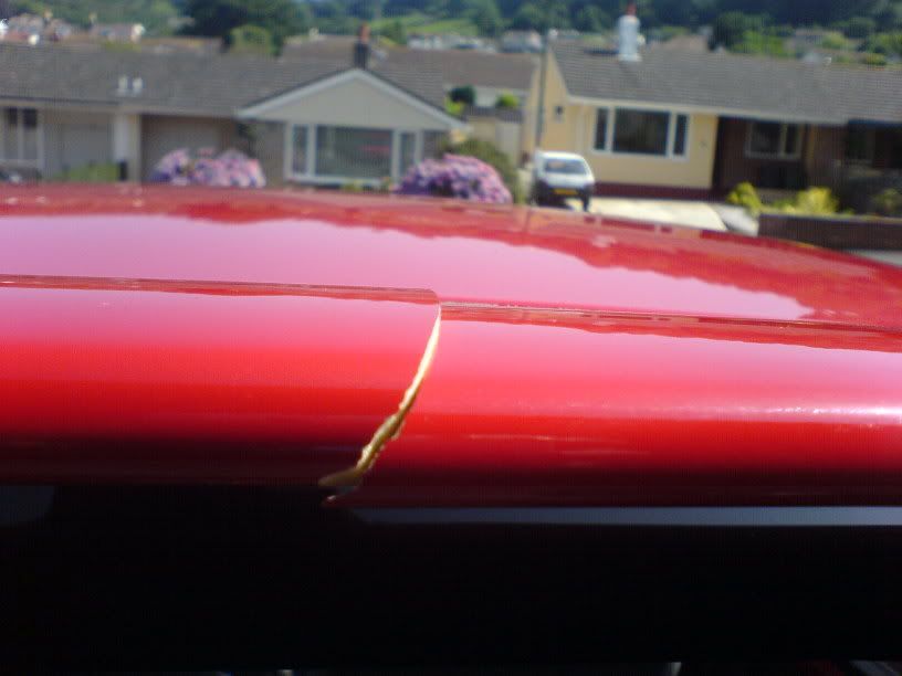 DSC07934.jpg
