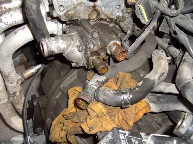 PICT2626.jpg