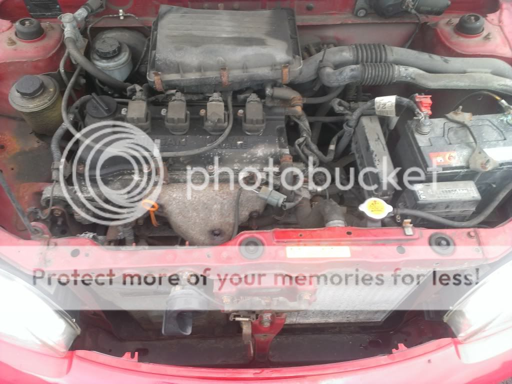 IMAG0168_zpsaf638ec7.jpg