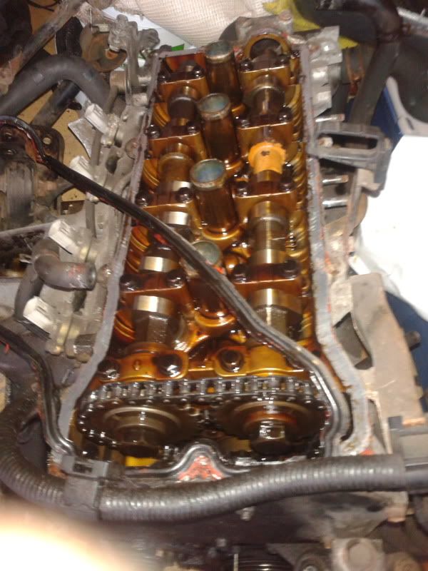 2012-03-13165941.jpg