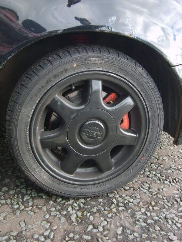 S8001725.jpg