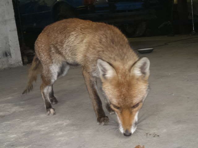201205023593.jpg