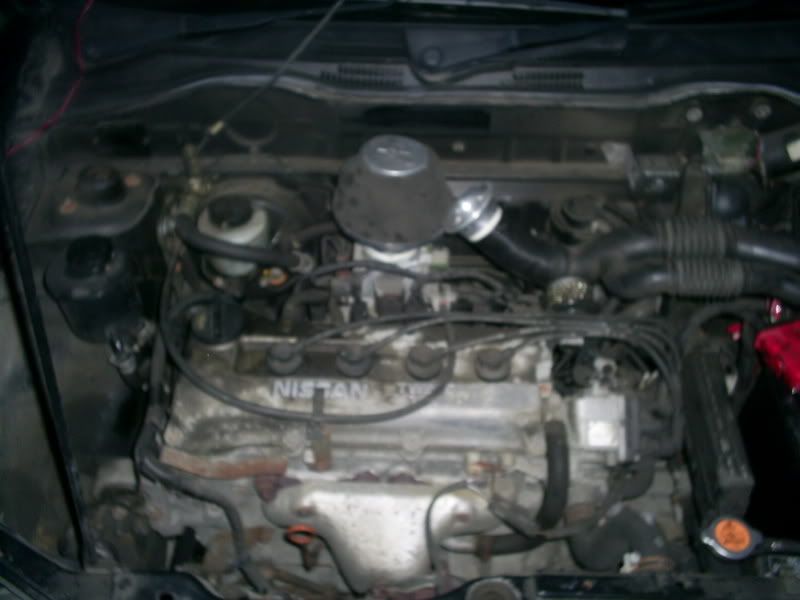 S4020129.jpg