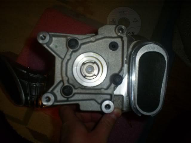 S5031234.jpg