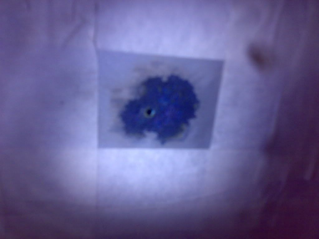 04012006791.jpg
