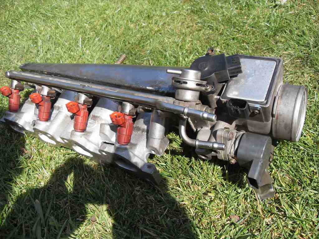 65895-jpg.22333