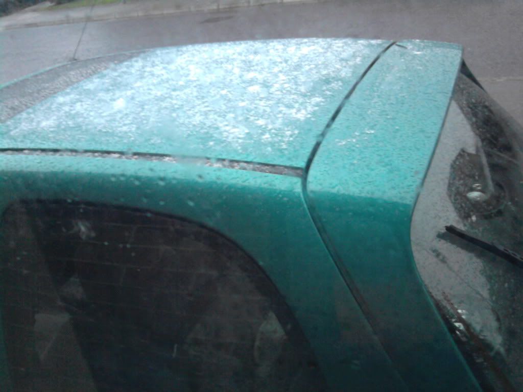 Photo0003.jpg