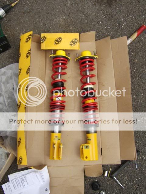 Coilys11.jpg