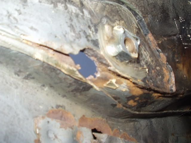 P1010032-2.jpg
