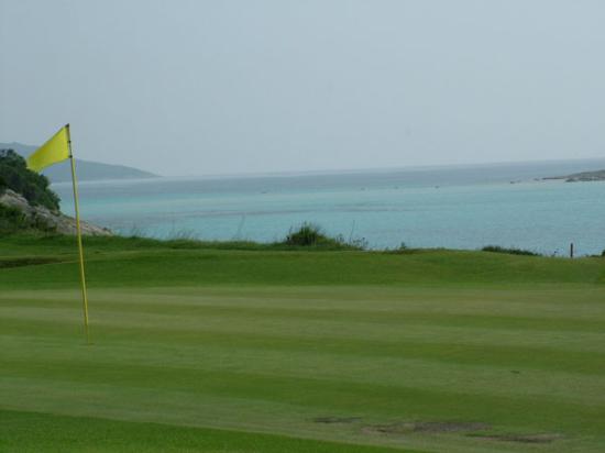 golf-course.jpg
