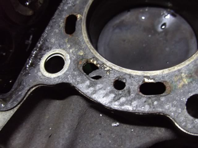 PICT2676.jpg