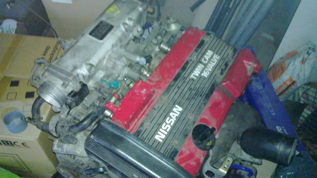 20110202_004.jpg