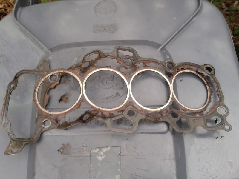 2012-03-14150004.jpg