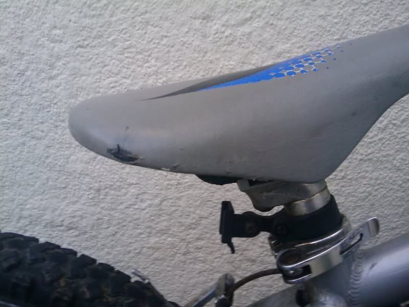 2009-05-11194319.jpg