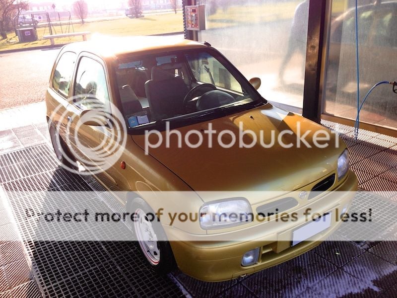 IMG_1164_zps1fd18b84.jpg
