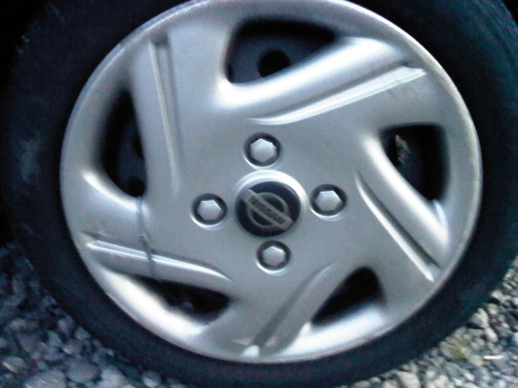 IMG-20120210-01125.jpg