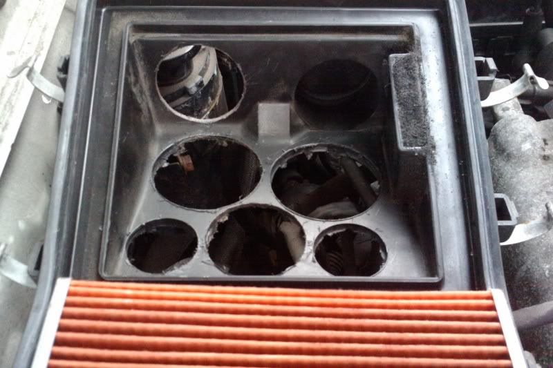 IMAG0174.jpg