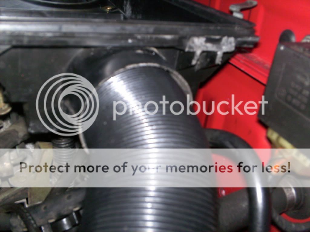 PICT0020.jpg