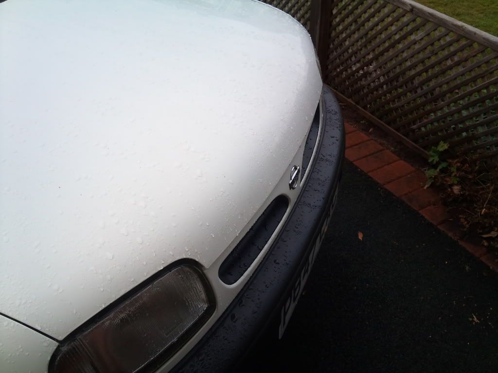 2011-09-25151157.jpg