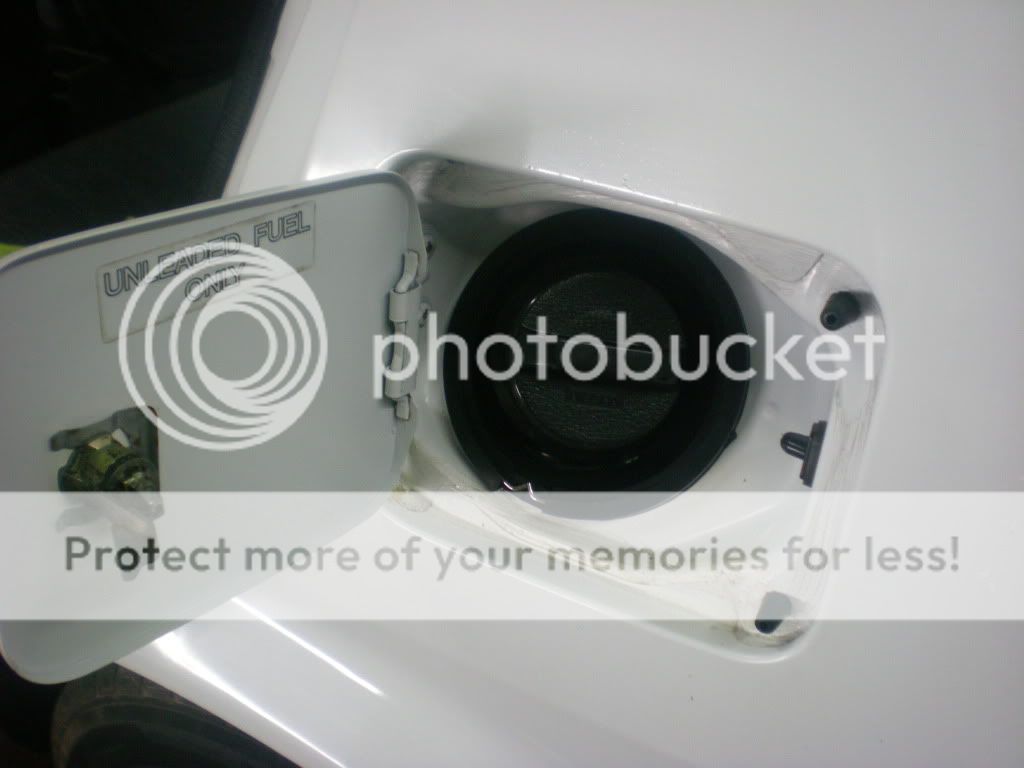 Picture203.jpg