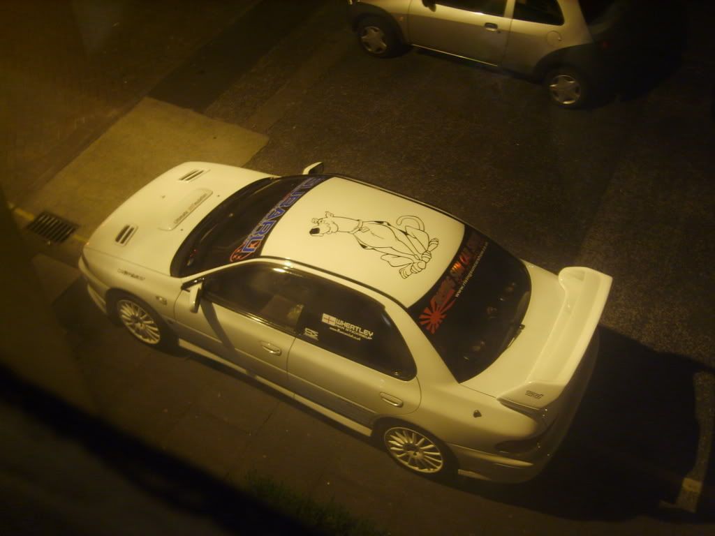 S8002300.jpg