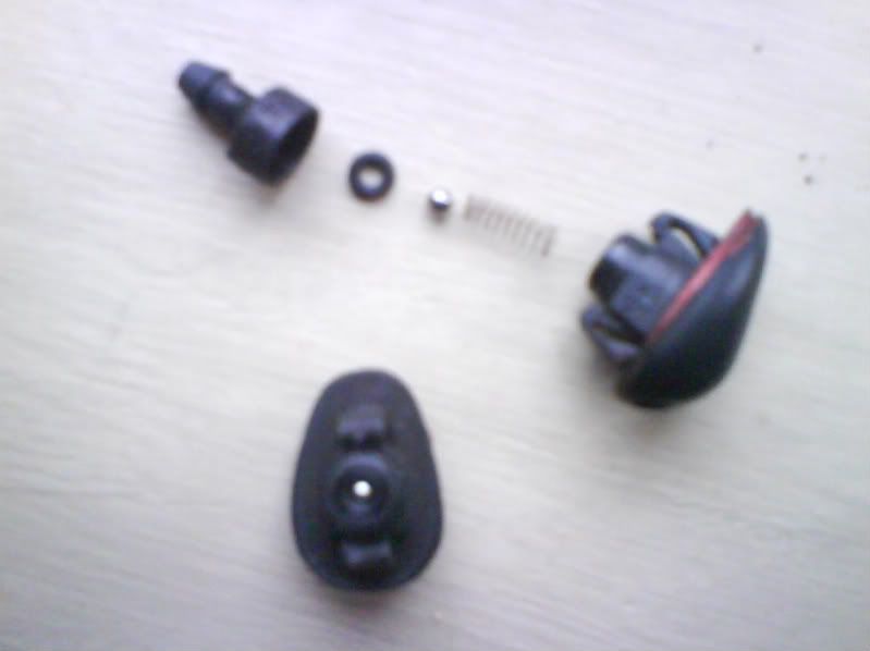 DSC00538.jpg