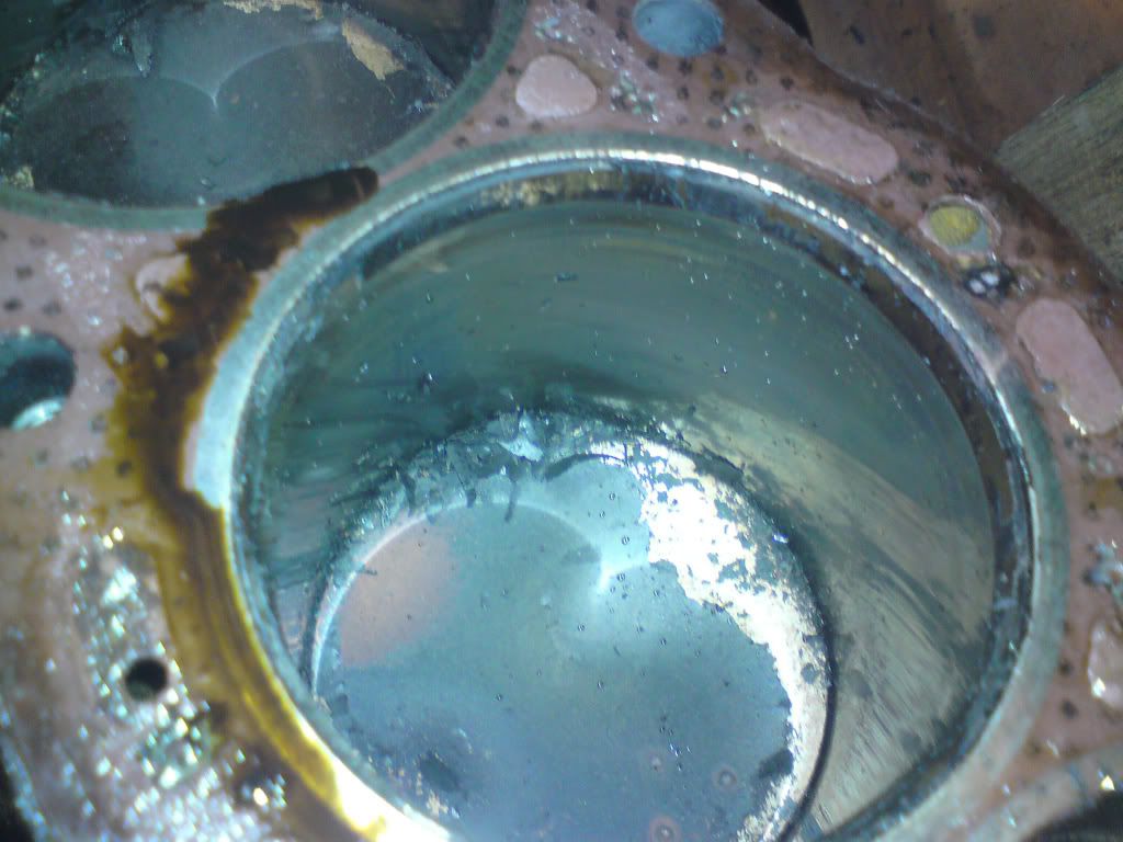 DSC00614.jpg