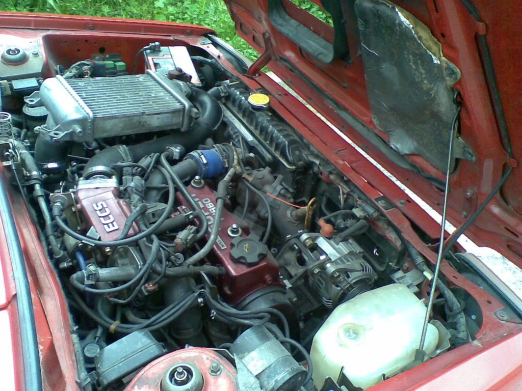 08122009035.jpg
