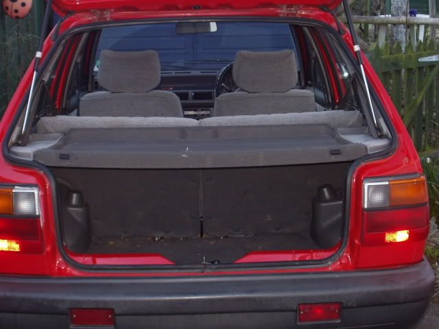 P1010006-1.jpg