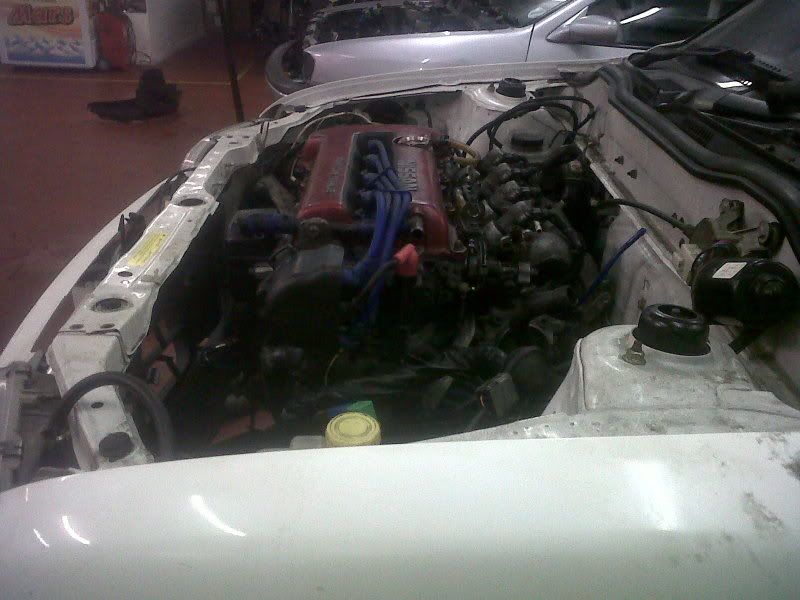 IMG00271-20111221-1709.jpg