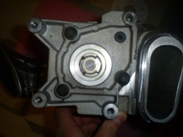 S5031233.jpg