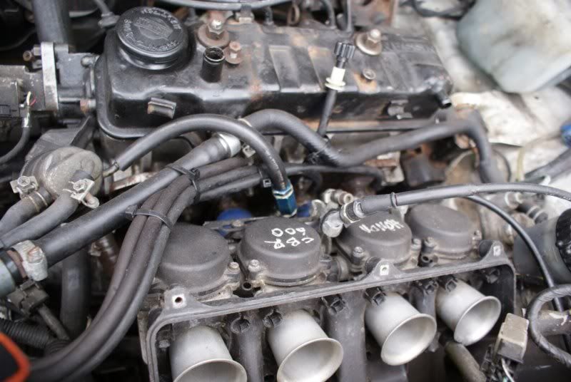 a59b594a.jpg