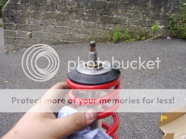 Coilys09.jpg