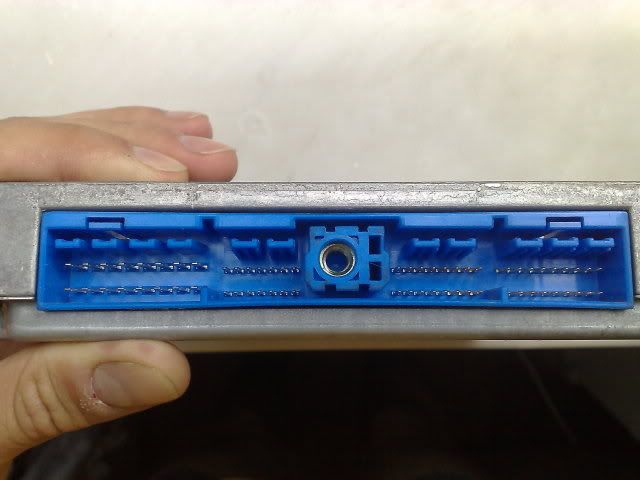 13062009073.jpg