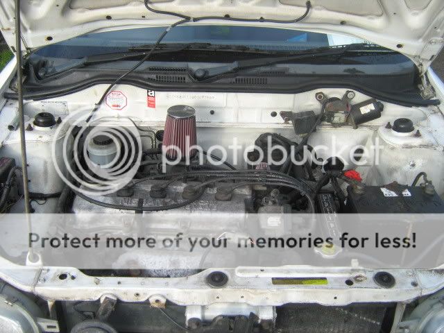 Picture214.jpg