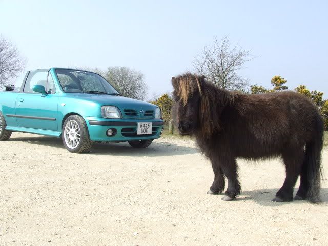 DSCF3419.jpg