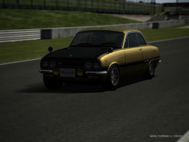 IMG0043.jpg