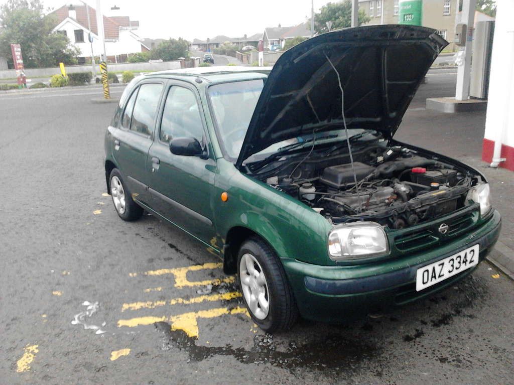 IMG00029.jpg