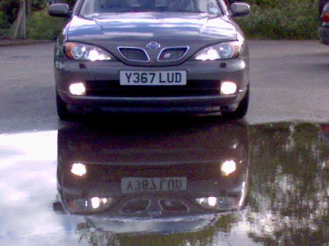 DSC00242.jpg