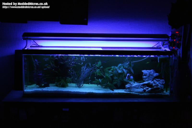 15-tank(dark).jpg