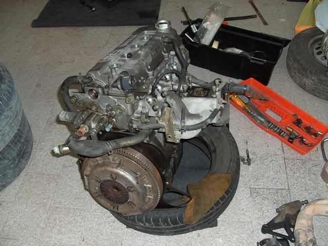 PICT2648.jpg