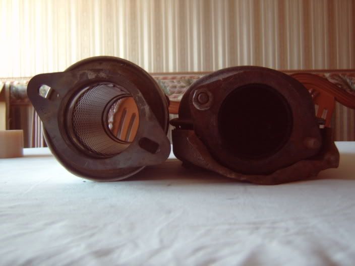 IMG00005.jpg
