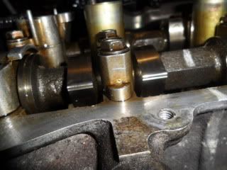 SAM_0706-Copy.jpg