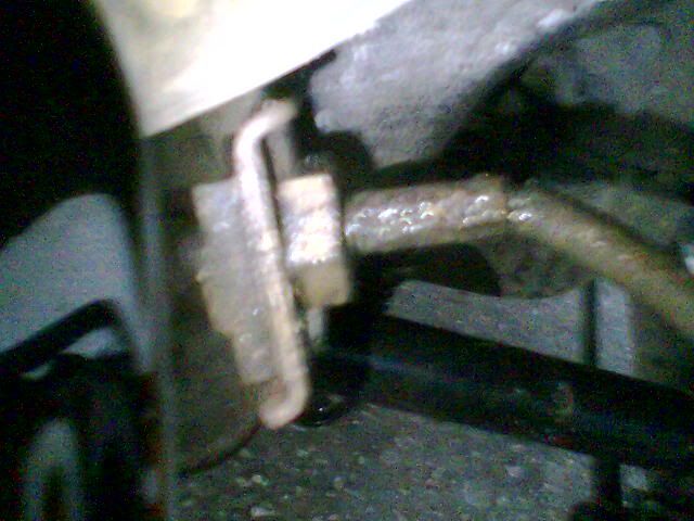 Img127.jpg