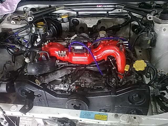 05032011195.jpg