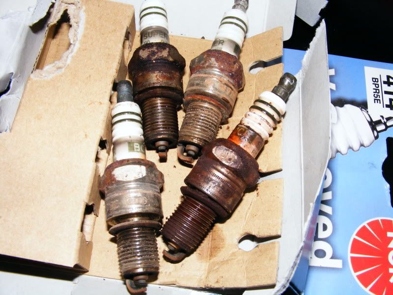 Micra143.jpg