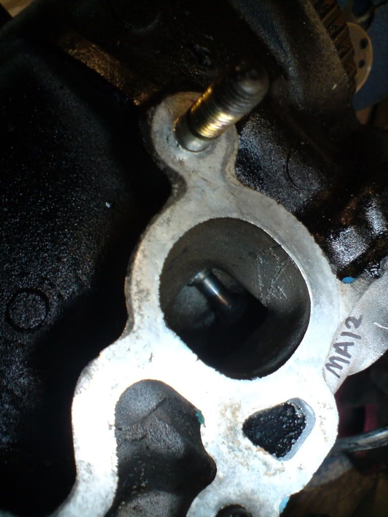 DSC02243.jpg