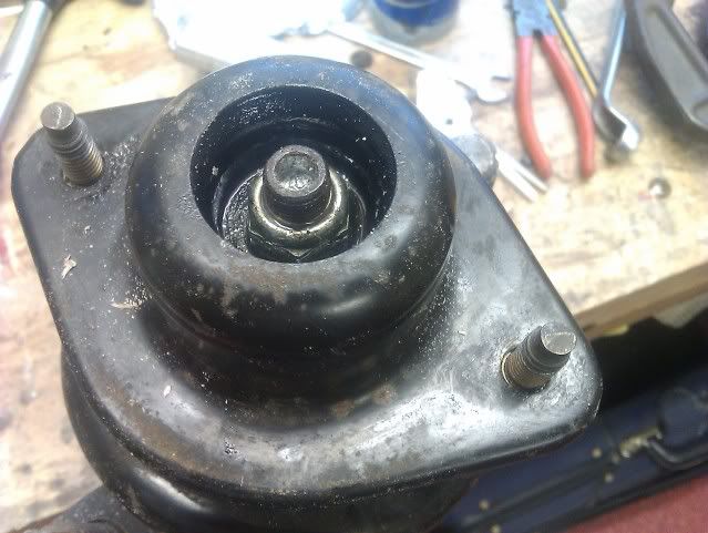 IMAG0217.jpg
