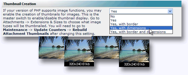 thumbnail-options.png