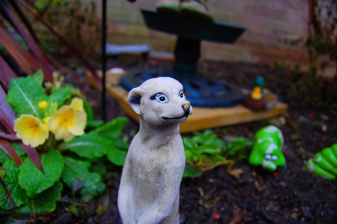 DSC_0029.jpg